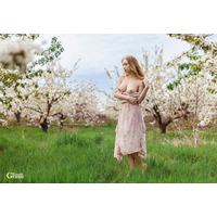 Spring is coming_1-JzbhmB6c.jpg